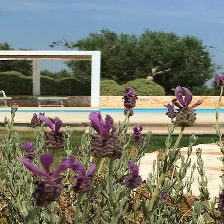 Trullo In Apulia With Private Pool 치스테르니노